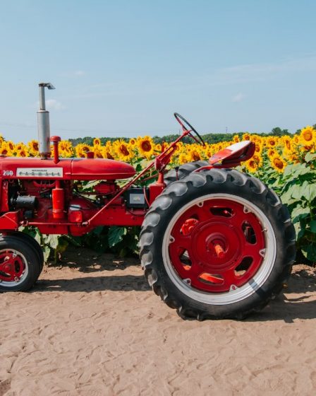 traktor